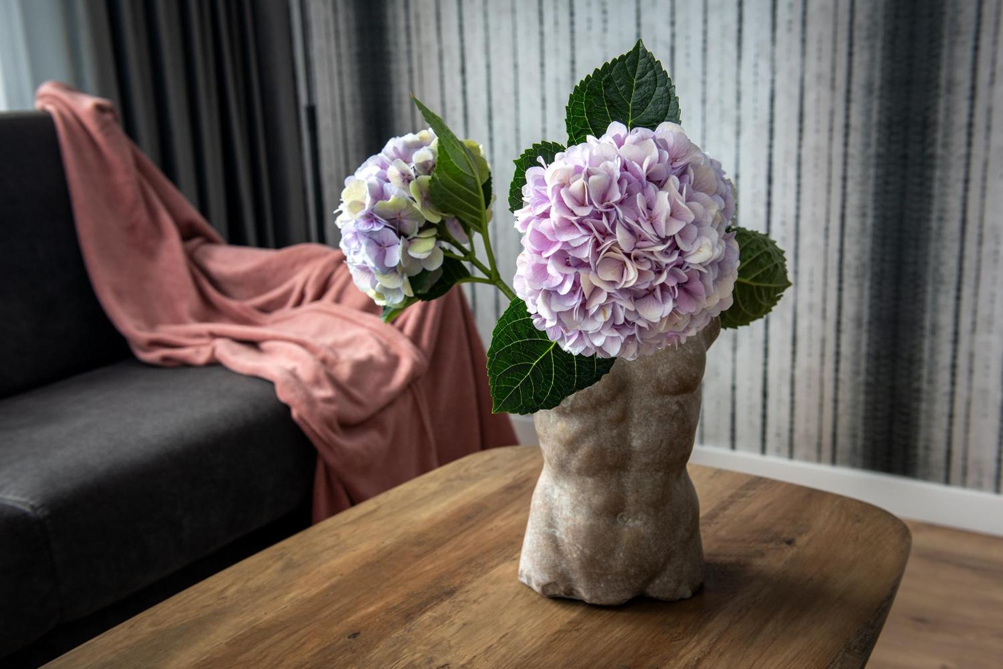 Inpoint Spacious Apartments Near Main Square & Kazimierz District Krasków Rom bilde